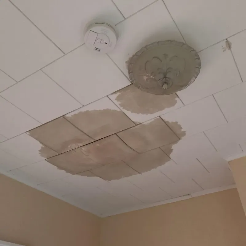 Ceiling Water Damage Repair in Cortland West, NY